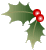 Holly